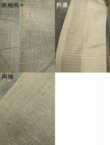 平和屋着物＊夏物 紗紬 霞芝文 正絹 逸品 AABC1849jd