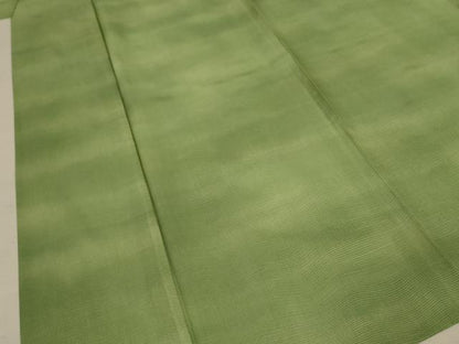 平和屋着物＊夏物 小紋 変わり絽 霞文 暈し染め 正絹 逸品 AABC1863jd