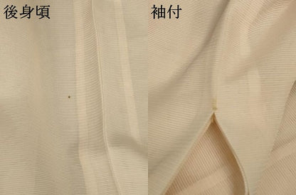 平和屋着物＊夏物 訪問着 絽 草花文 正絹 逸品 AABC1892jd