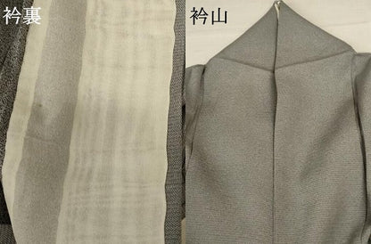 平和屋着物＊夏物 江戸小紋 絽 鮫小紋柄 正絹 逸品 AABC1896jd