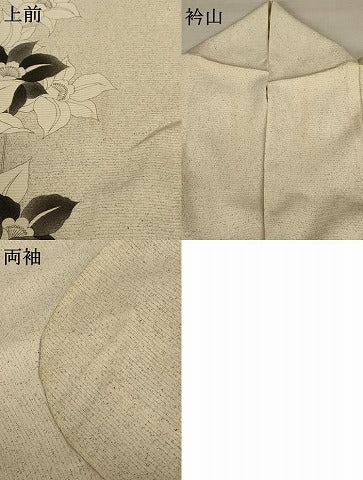平和屋着物＊夏物 訪問着 絽 草花文 正絹 逸品 AABC1919jd