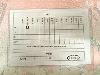 平和屋着物◎六通柄袋帯　唐織　結び紐花文　銀糸　正絹　逸品　AABC2403yx