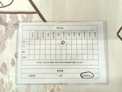 平和屋着物◎六通柄袋帯 唐織 古都眺庭 銀糸 正絹 逸品 AABC2472yx