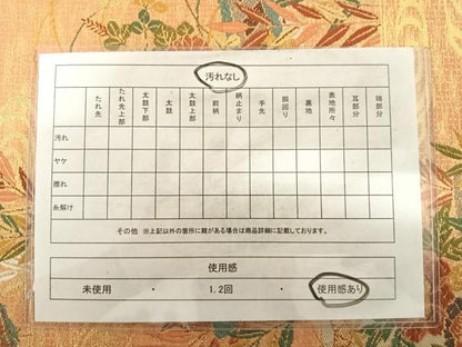 平和屋着物◎六通柄袋帯　唐織　花筏　金糸　正絹　逸品　AABC2495yx