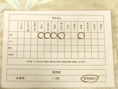 平和屋着物◎六通柄袋帯　唐織　南天文　銀糸　正絹　逸品　AABC3072dt