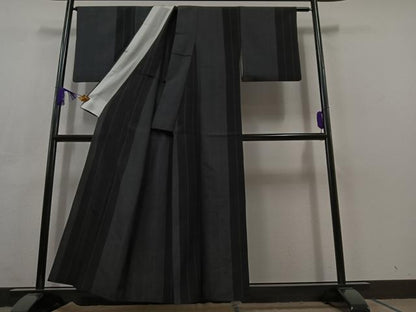 平和屋着物▽本塩沢 単衣 110亀甲 間道 正絹 逸品 AABC3173jh