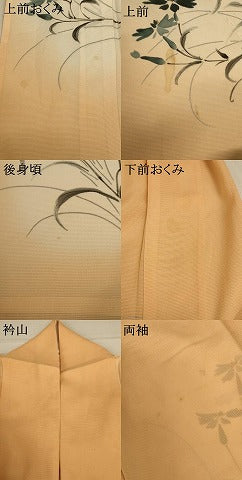 平和屋着物＊夏物 訪問着 絽 手描き 草花文 暈し染め 正絹 逸品 AABC3402jd