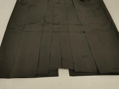 平和屋着物＊夏物 男性 行灯袴 縦絽 縞 正絹 逸品 AABC3407jd