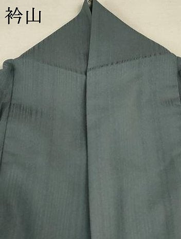 平和屋着物＊夏物 訪問着 紗 草花文 暈し染め 洗える着物 AABC3410jd