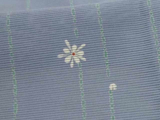 平和屋着物＊夏物 小紋 絽 舞花文 洗える着物 AABC3420jd