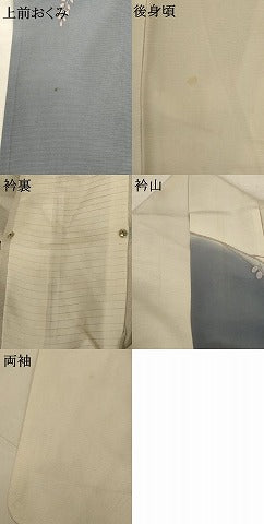 平和屋着物＊夏物 訪問着 絽 枝葉文 正絹 逸品 AABC3432jd