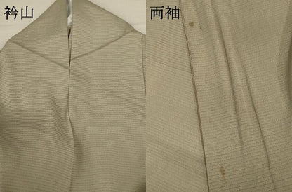 平和屋着物＊夏物 訪問着 絽縮緬 草花文 正絹 逸品 AABC3434jd