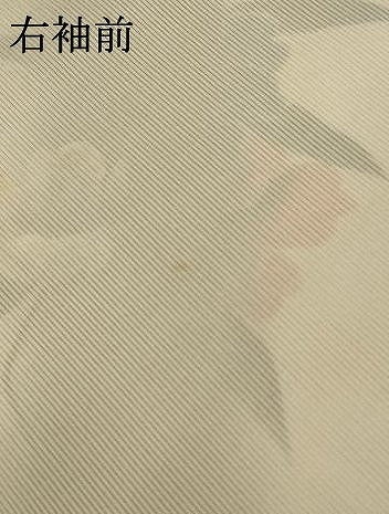 平和屋着物＊夏物 訪問着 絽 手描き 枝花文 暈し染め 金銀彩 正絹 逸品 AABC3448jd