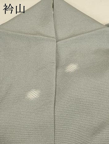 平和屋着物＊夏物 小紋 絽縮緬 丸文 正絹 逸品 AABC3450jd
