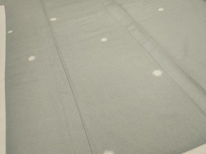 平和屋着物＊夏物 小紋 絽縮緬 丸文 正絹 逸品 AABC3450jd