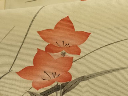 平和屋着物＊夏物 小紋 絽 手描き 草花文 正絹 逸品 AABC3451jd