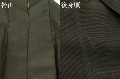 平和屋着物＊夏物 訪問着 縦絽 駒 金彩 洗える着物 AABC3473jd