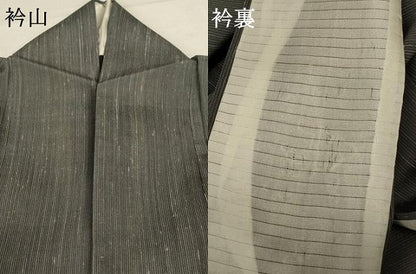 平和屋着物＊夏物 紗紬 縞 正絹 逸品 AABC3520jd