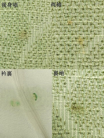平和屋着物▽上質な紬 単衣 草花文 正絹 逸品 AABC3776fy