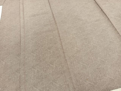 平和屋着物▽江戸小紋 単衣 鮫小紋柄 正絹 逸品 AABC3845fy