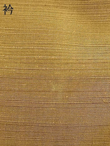 平和屋着物▽上質な紬 単衣 トンボ 蜻蛉 勝虫 蝶 燕 鯉 正絹 逸品 AABC3860fy