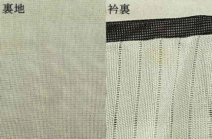 平和屋着物▽訪問着 無双 紗袷 紗×紗 霞文 正絹 逸品 AABC3953fy