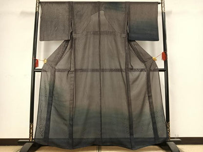 平和屋着物▽訪問着 無双 紗袷 紗×紗 霞文 正絹 逸品 AABC3953fy