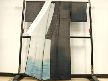 平和屋着物▽訪問着 無双 紗袷 紗×紗 霞文 正絹 逸品 AABC3953fy