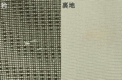 平和屋着物▽訪問着 無双 紗袷 紗×絽 草花文 金銀彩 正絹 逸品 AABC4015fy