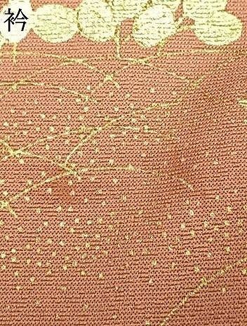 平和屋着物▽訪問着 単衣 孔雀花文 暈し染め 金銀彩 正絹 逸品 AABC4023fy