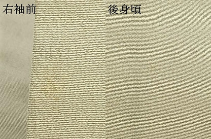 平和屋着物▽訪問着 単衣 作家物 草葉文 金彩 松坂屋扱い 正絹 逸品 AABC4026fy