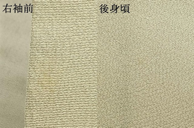 平和屋着物▽訪問着 単衣 作家物 草葉文 金彩 松坂屋扱い 正絹 逸品 AABC4026fy