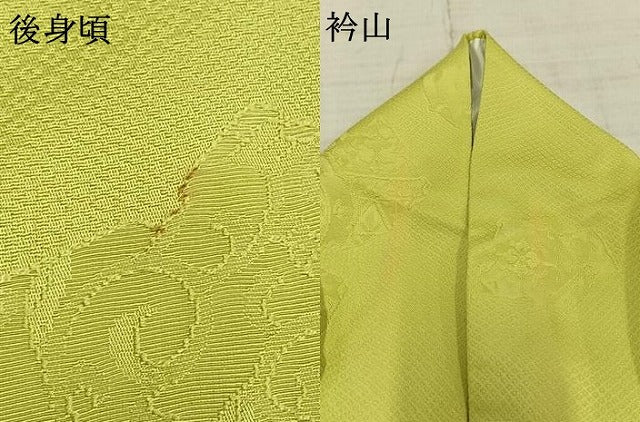 平和屋着物▽上質な色無地 単衣 若苗色 正絹 逸品 AABC4032fy