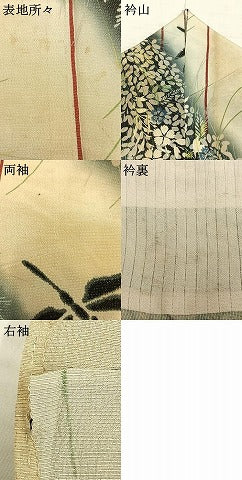 平和屋着物＊夏物 アンティーク 大正ロマン 小紋 草花文 勝虫 正絹 逸品 AABC4040fy