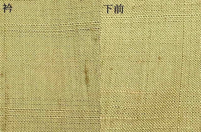 平和屋着物▽染織の名門 しょうざん 生紬 訪問着 単衣 草花文 暈し染め 金彩 正絹 逸品 AABC4048fy