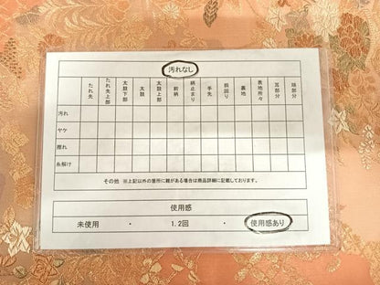 平和屋着物◎六通柄袋帯　草花文　藤花房　金糸　正絹　逸品　AABC4723yx