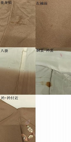 平和屋着物●上質な小紋 梅松文 鬼しぼ縮緬 正絹 逸品 AABC5170zg