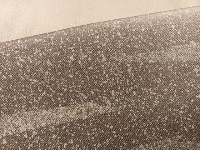 平和屋着物●豪華色留袖　作家物　霞文　正絹　逸品　AABC6861ph