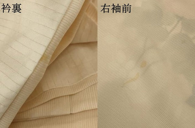 平和屋着物＊夏物 訪問着 絽 草花文 正絹 逸品 AABC6923jd