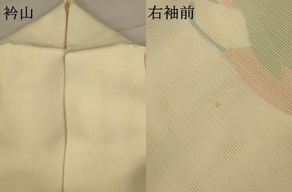 平和屋着物＊夏物 訪問着 絽 舞花文 正絹 逸品 AABC6927jd