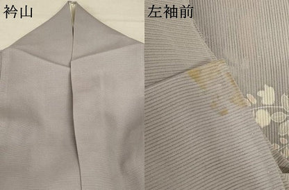 平和屋着物＊夏物 訪問着 絽 草花文 銀彩 正絹 逸品 AABC6933jd