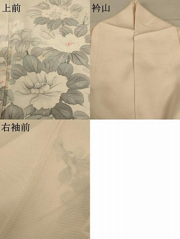 平和屋着物＊夏物 訪問着 絽 手描き 草花文 正絹 逸品 AABC6938jd