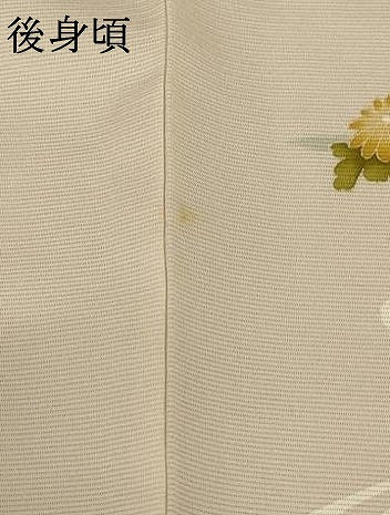 平和屋着物＊夏物 訪問着 絽 流水草花文 正絹 逸品 AABC6939jd