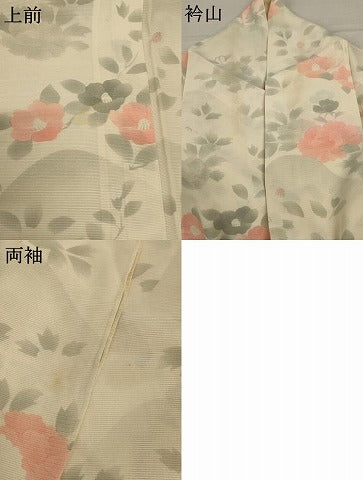 平和屋着物＊夏物 小紋 絽 草花文 正絹 逸品 AABC6965jd