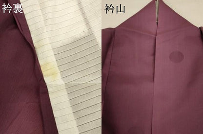 平和屋着物＊夏物 小紋 紗 水玉 暈し染め 正絹 逸品 AABC6985jd