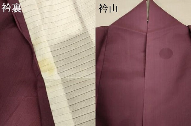 平和屋着物＊夏物 小紋 紗 水玉 暈し染め 正絹 逸品 AABC6985jd