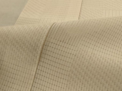 平和屋着物＊夏物　長襦袢　変わり絽　市松文様　正絹　逸品　AABC6995jd