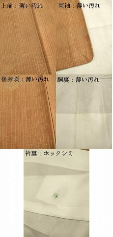 平和屋着物■上質な紬 霞文 正絹 逸品 AABC7291ma