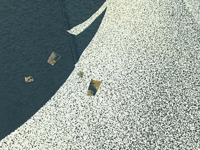 平和屋着物▽訪問着 単衣 作家物 刺繍 舞葉文 たたき染め 金糸 正絹 逸品 AABC7486jh