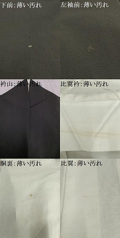 平和屋着物■豪華黒留袖　駒刺繍　風景樹林文　金銀彩　正絹　逸品　AABC7596oa